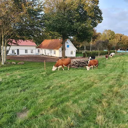 Slotsgaardens Feriegård. Lejlighed *